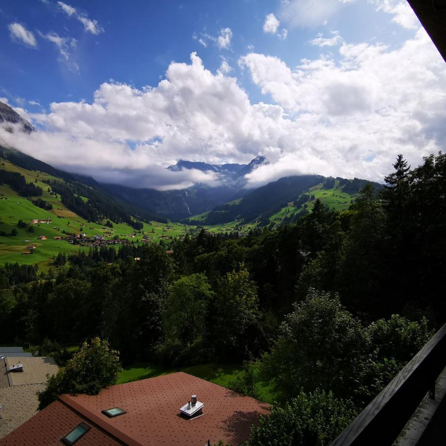 Fewo Fernsicht Crystal Adelboden Eksteriør bilde